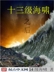 十级海啸视频封面
